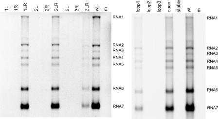 FIG. 2.