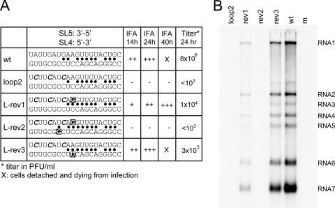 FIG. 4.