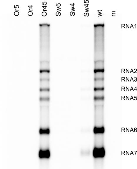 FIG. 6.