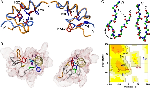 Fig. 4.