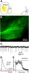 Figure 6.