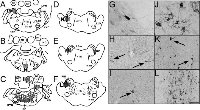 Fig. 5.