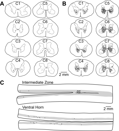 Fig. 2.