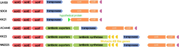 Figure 5