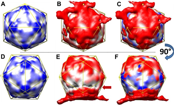 Fig 2