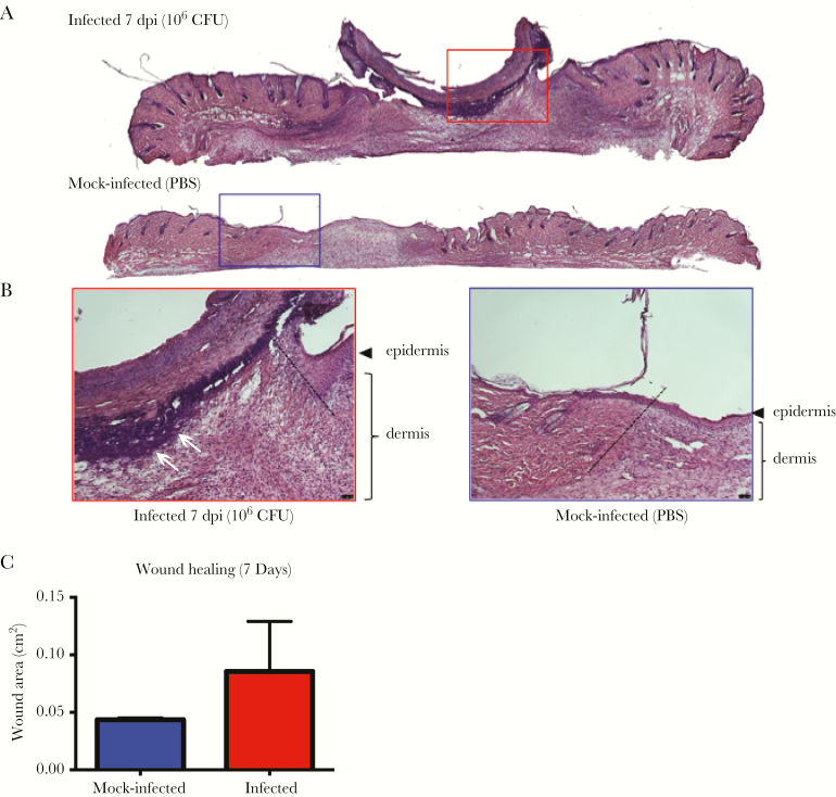 Figure 6.