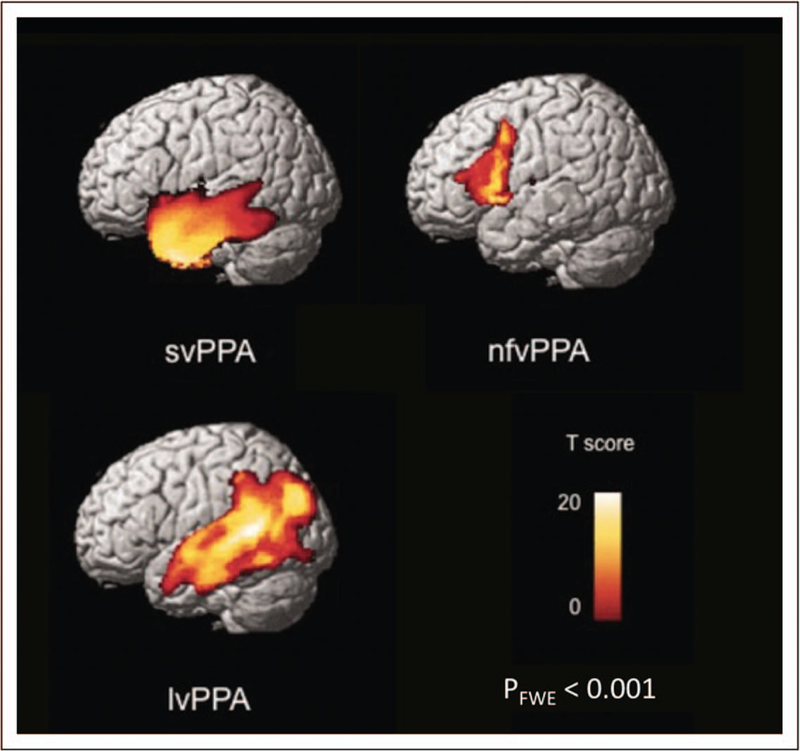 FIGURE 1.