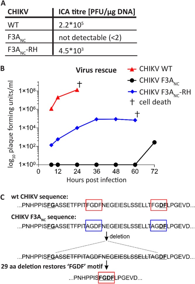 FIG 4