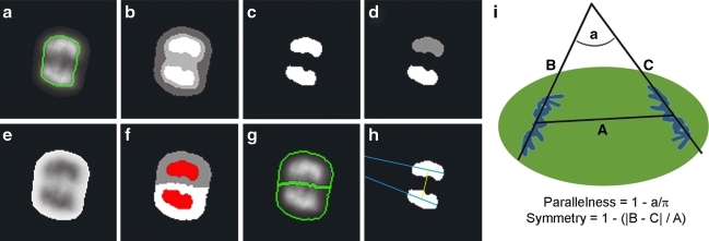 Appendix Fig. A8.