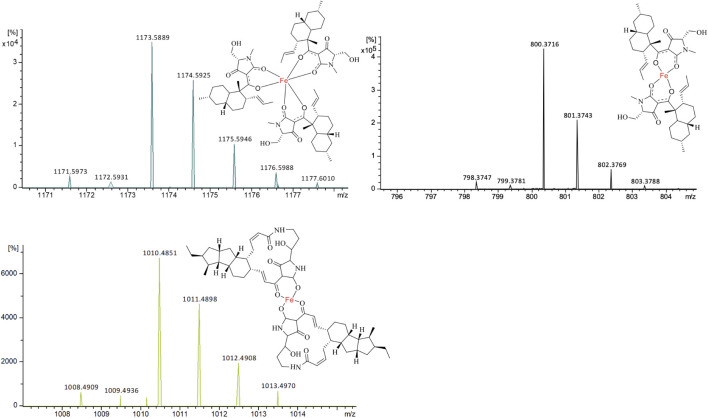 FIGURE 3