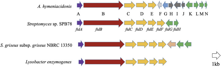 FIGURE 2