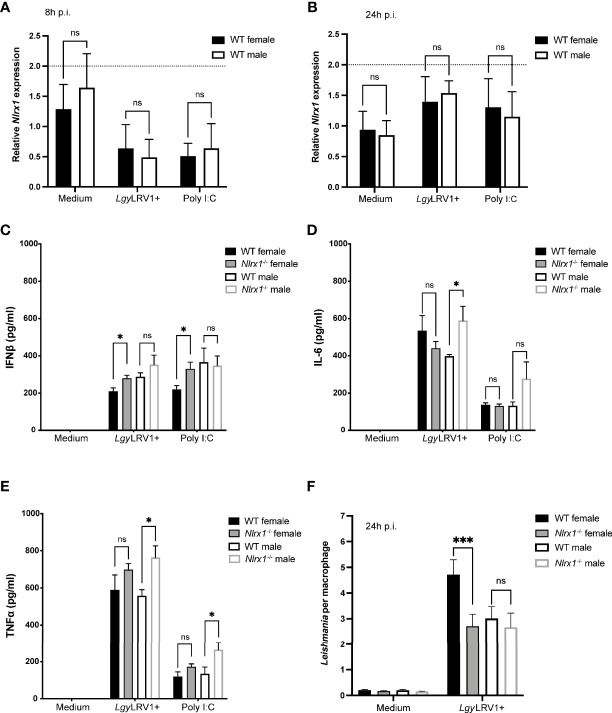 Figure 4