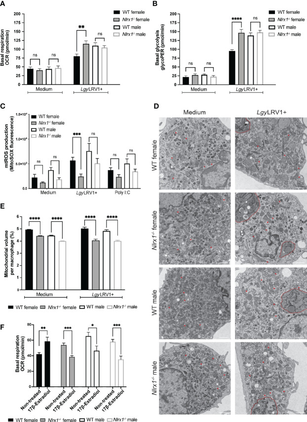 Figure 5