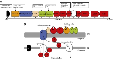 Fig. 2.