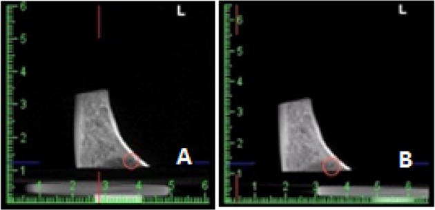 Fig. 2: