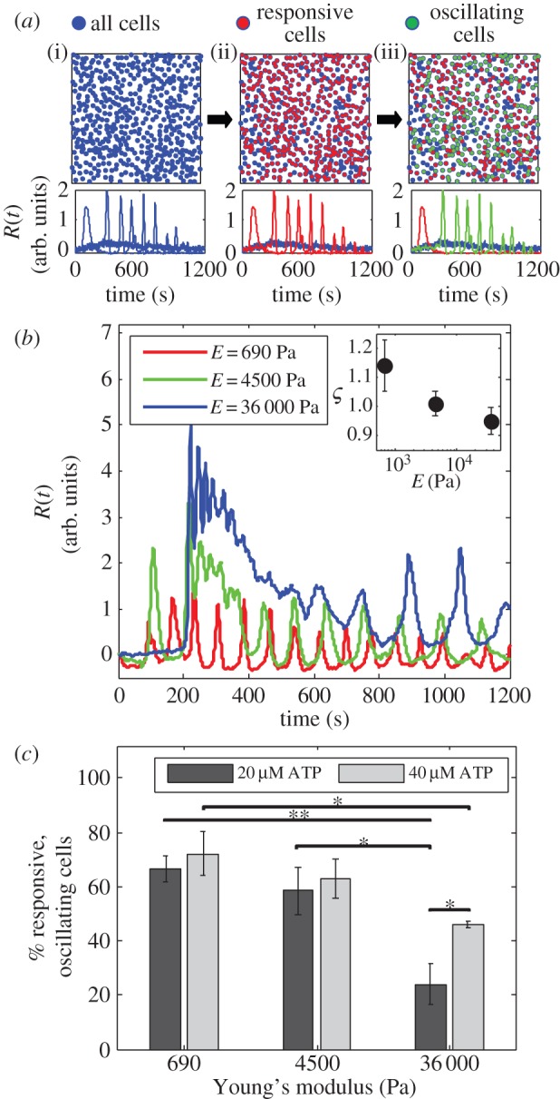 Figure 2.