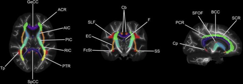 Fig 1