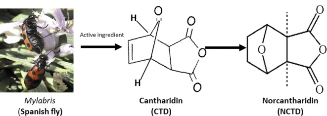 Fig. 1