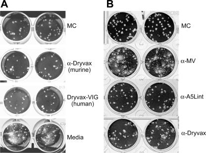 FIG. 6.