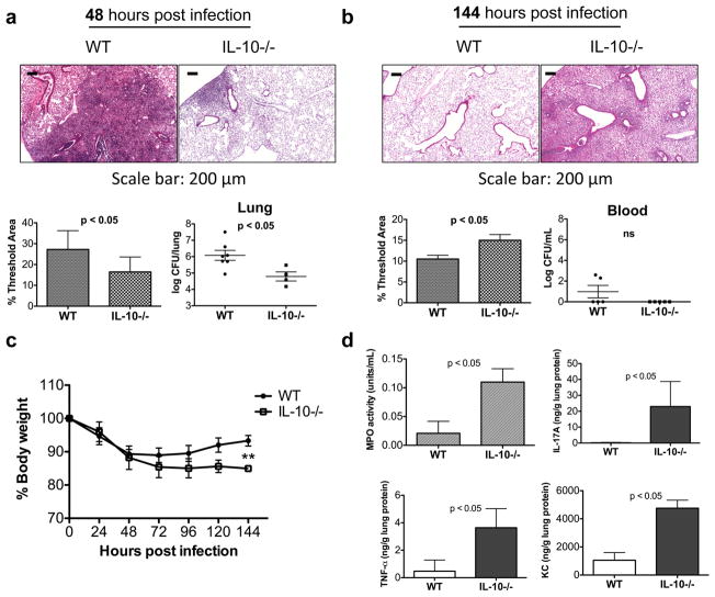 STAT1-Regulated Lung MDSC-like Cells Produce IL-10 and Efferocytose ...