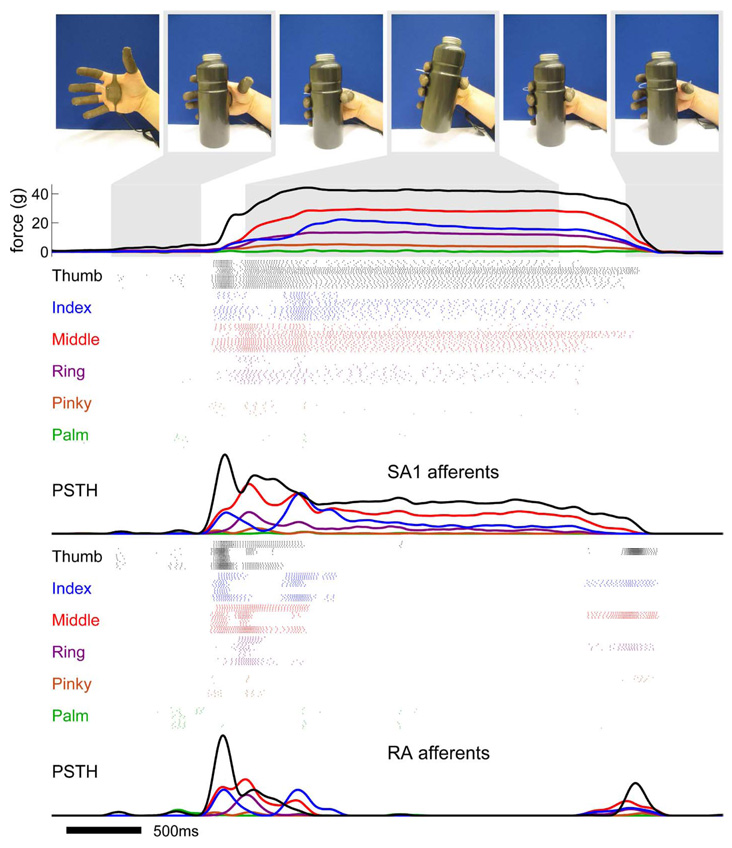 Fig. 6