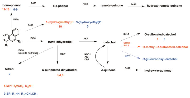 Scheme 2