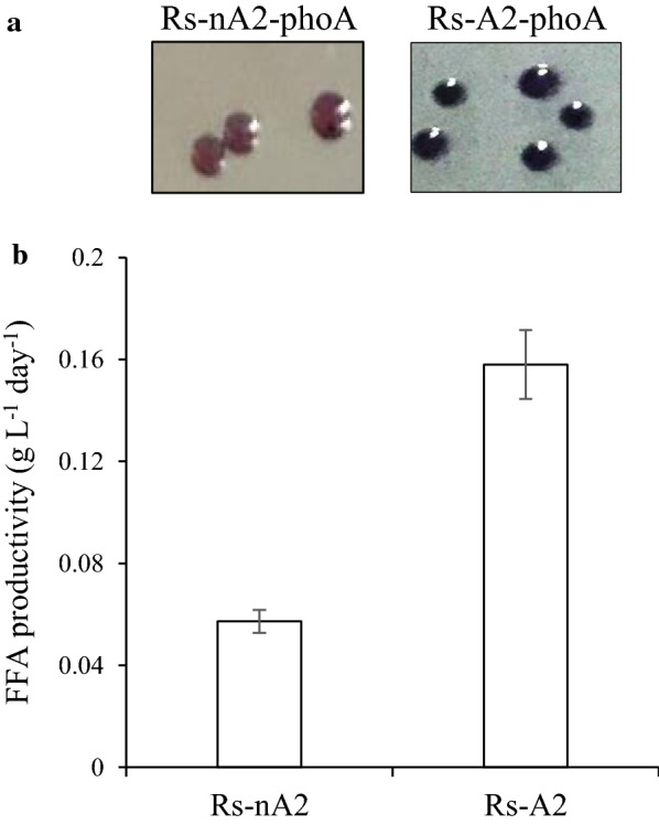 Fig. 2