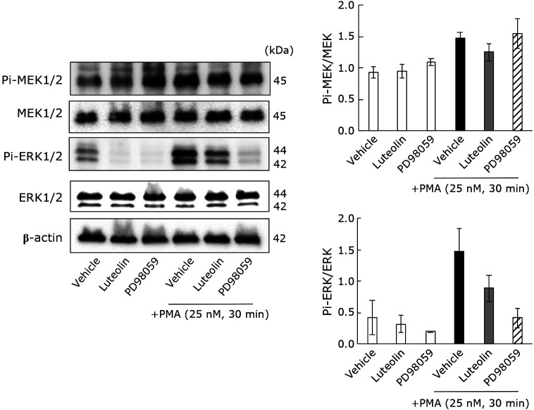 Fig. 3.