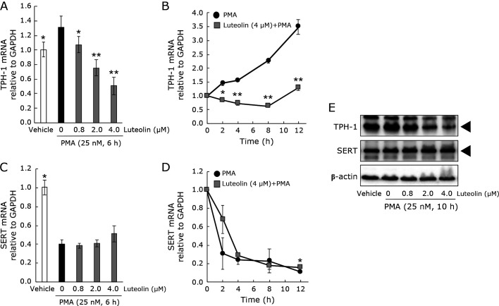 Fig. 2.