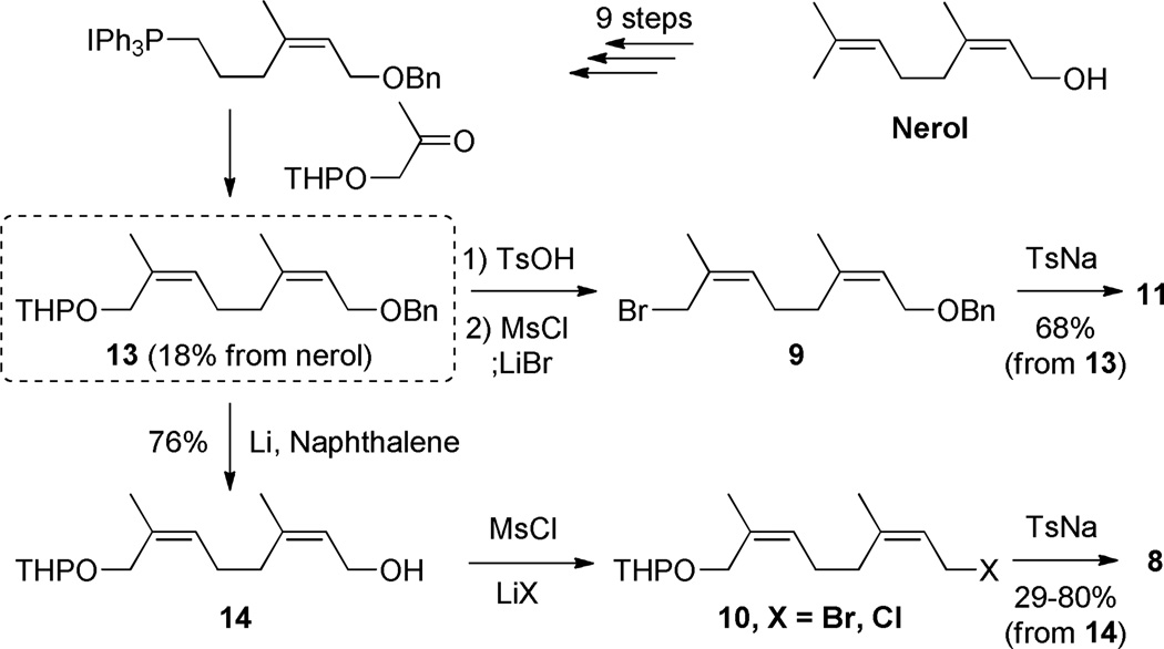 Scheme 2