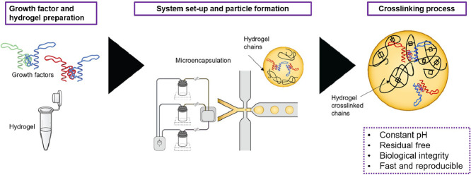 Image, graphical abstract