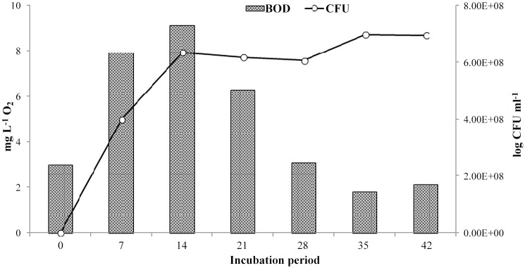 Fig 6