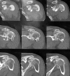 Fig. 8