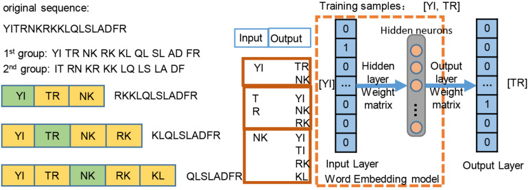 FIGURE 2