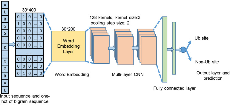 FIGURE 3