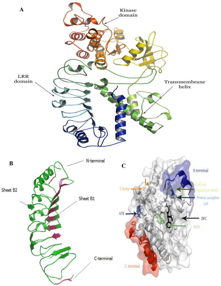 Figure 6