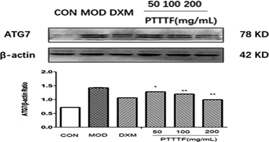 Figure 12.