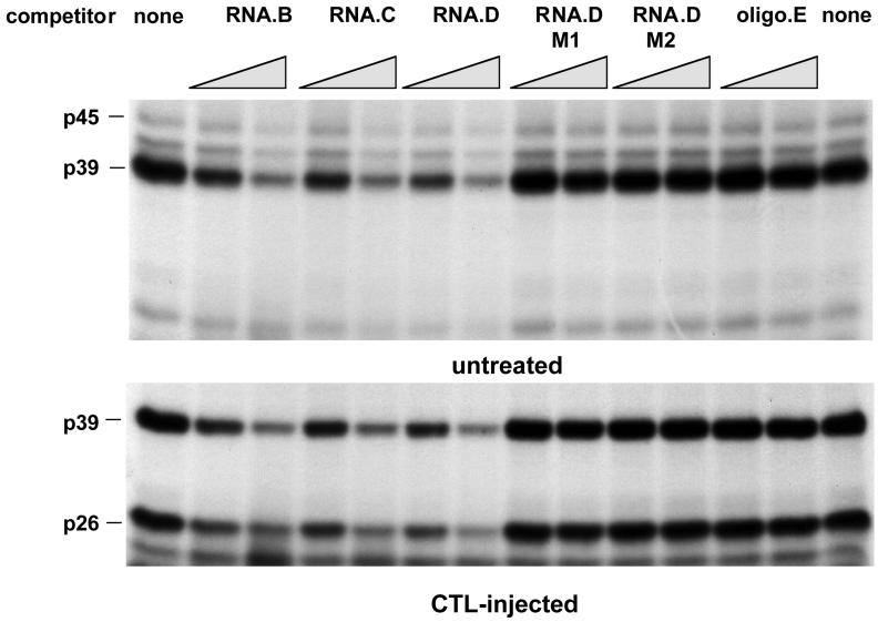 FIG. 6