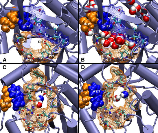 FIGURE 4