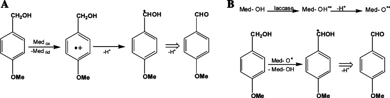 Fig. 6