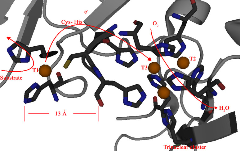 Fig. 2