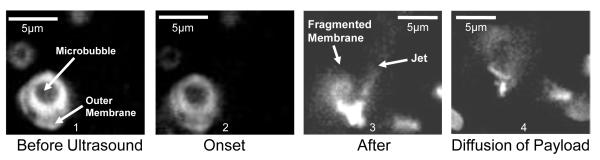 FIG. 3