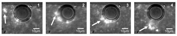 FIG. 7