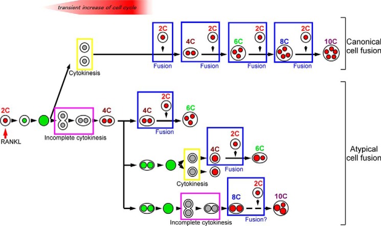 FIGURE 12.