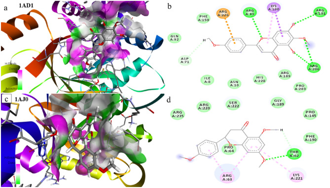 Figure 10