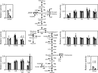 FIG. 1.