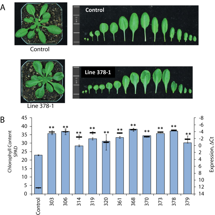 Fig. 4.