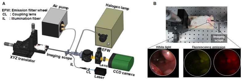 Fig. 2