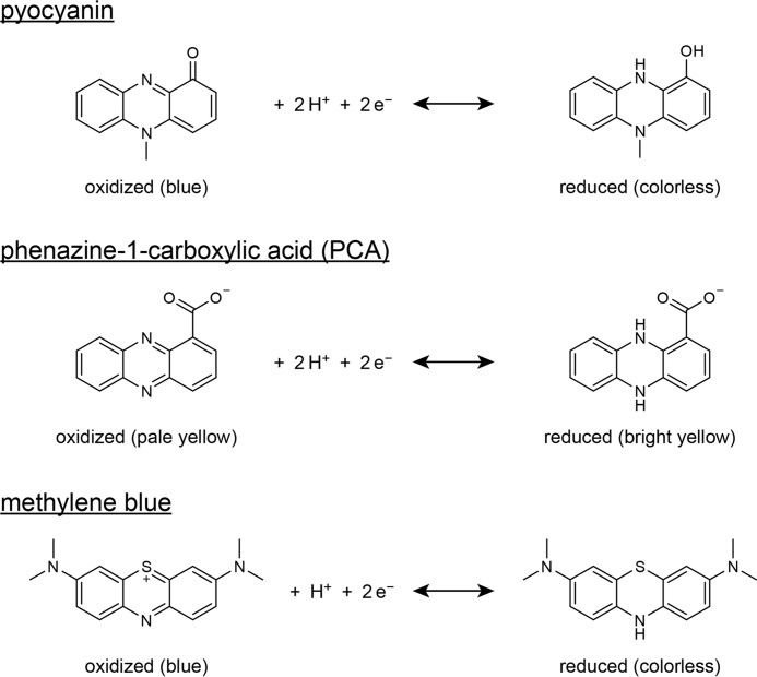 FIGURE 1.