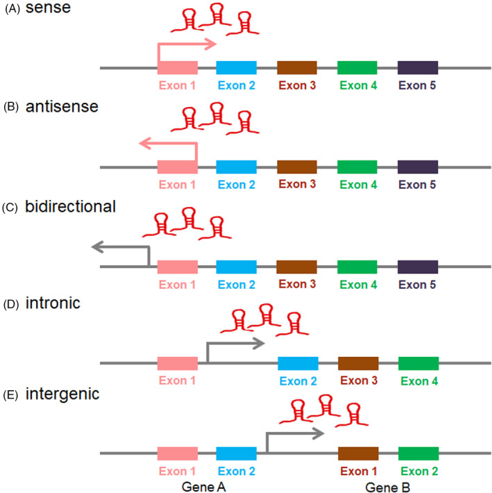 FIGURE 1